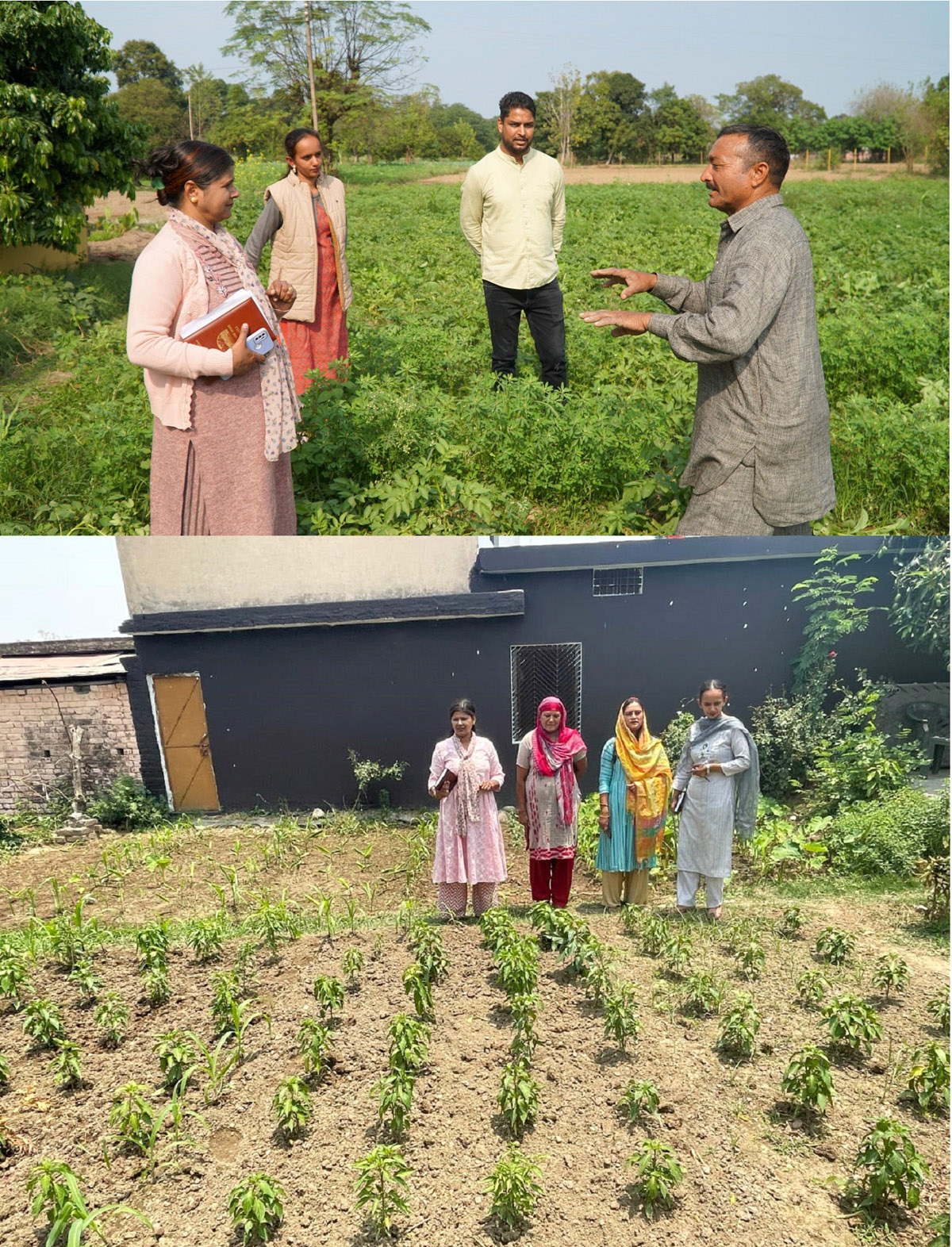आतमा परियोजना उप निदेशक ने किया घालूवाल और कर्मपुर में किसानों के खेतों का दौरा